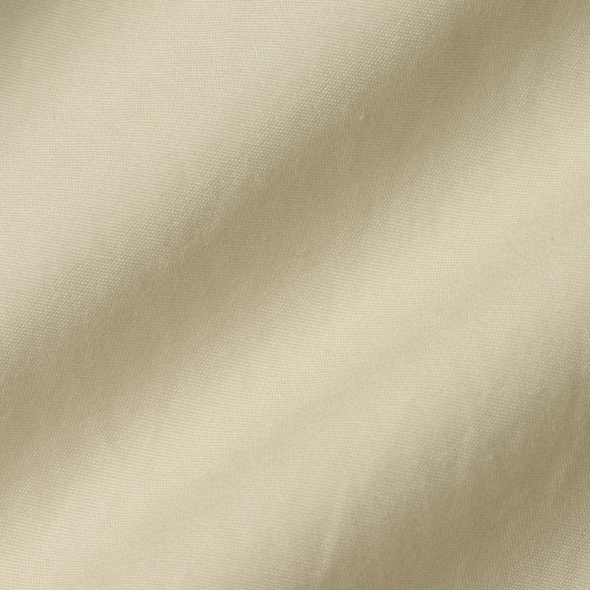 CSH-33 / 100/2 Cotton Broad / Ivory / スキッパーシャツ