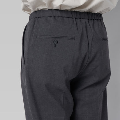 CPT-20 – TW Tropical – Grey / 2アウトプリーツ　イージースラックス